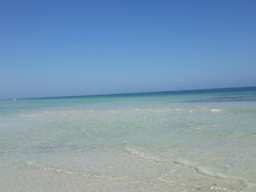 Iberostar Playa Alameda