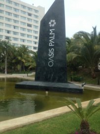 Oasis Palm