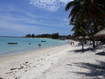 Ambre Mauritius