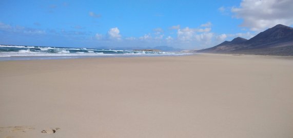 Occidental Jandia Playa