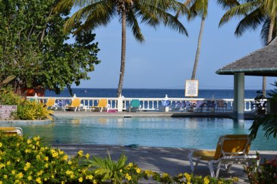 Starfish Tobago