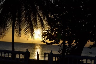 Starfish Tobago