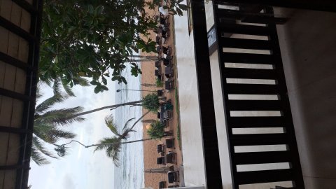 Pandanus Beach Resort & Spa