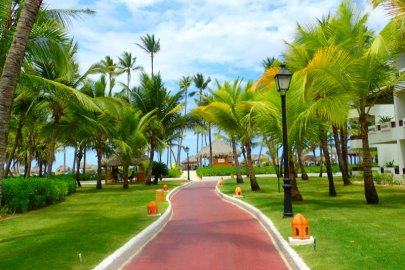 Occidental Punta Cana & Royal Level
