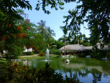 Dreams Flora Resort & Spa