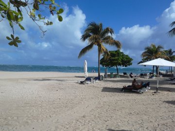 COOEE at Grand Paradise Playa Dorada